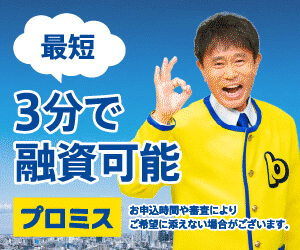 カードローン_プロミス公式